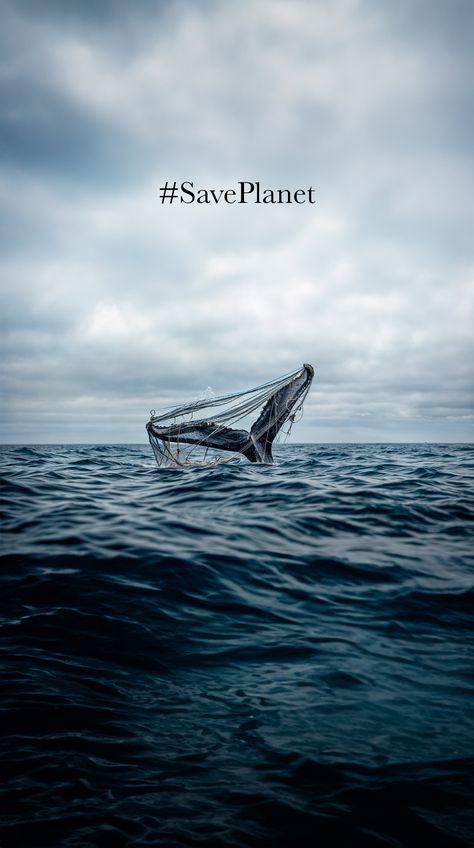 🐋🌊 Explore the urgent need to #SavePlanet with my powerful photo on Pinterest! 📸 Let's shed light on the devastating impact of marine pollution and advocate for ocean conservation. 💙 Together, we can protect our planet and its magnificent creatures. 🌍 Download this striking image now and join the movement for environmental preservation. #OceanConservation #MarinePollution #SaveOurOceans #Photography 📸🌊 Ocean Conservation Art, Ocean Pollution Poster, Ocean Pollution Art, Pollution Painting, Ocean Moodboard, Innocent Archetype, Save The Ocean, Beach Clean Up, Protect Our Planet