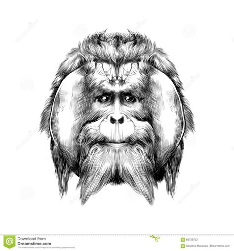 Orangutan tattoo idea Orangutan Tattoo, Drawing Tattoo Ideas, Orang Utan, Creepy Tattoos, Drawing Tattoo, White Drawing, Black And White Drawing, Animal Tattoos, Tattoo Idea