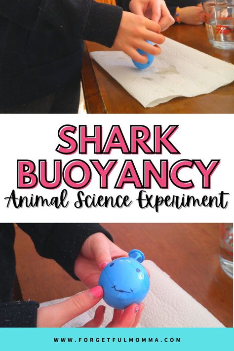 Zoo Animal Science Experiment, Animal Themed Science Experiments, Buoyancy Experiments For Kids, Shark Science Experiments For Kids, Shark Stem Activities For Kids, Animal Science Fair Projects, Animal Stem Activities, Fish Science Experiment, Animal Science Projects