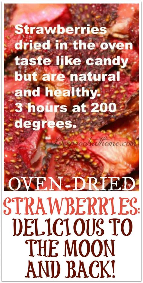 Baking Strawberries, Oven Snacks, Bake Strawberries, Strawberry Chips, Oven Dried Strawberries, Summer Desserts Easy Healthy, Dehydrated Strawberries, Elderberry Syrup Recipe, The Astronauts