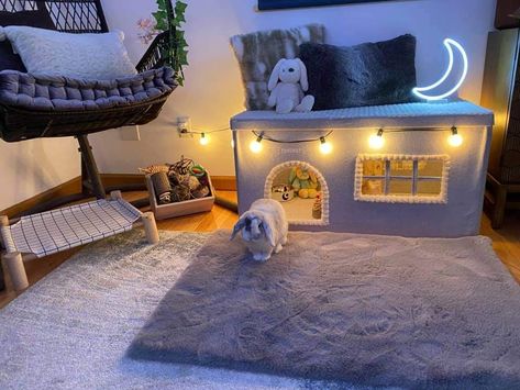 Rabbit Cage Decoration Ideas, Rabbit Set Up Indoor Diy, Rabbit Cage Decor, Rabbit Cages Ideas, Diy Bunny House Indoor Rabbit, Small Bunny Cages In Bedroom, Bunny X Pen, Bunny Habitats Indoor, Cute Bunny Enclosure