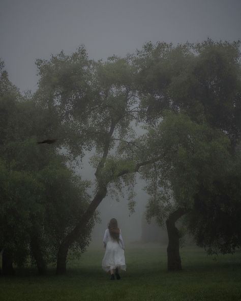 Foggy Painting, Fairytale Aesthetic, Dark Witch, Nature Photoshoot, One With Nature, Senior Photoshoot, Season Of The Witch, Forest Fairy, Instagram Photography