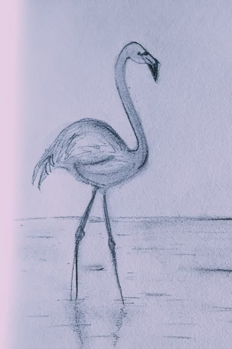 Flamingo art  Black and white Flamingo Drawing Realistic, Flamingo Sketch Drawings, Flamingo Drawing Pencil, Nursery Sketches, Easy Flamingo Drawing, Flamingo Drawing Simple, Draw Flamingo, Flamingo Drawings, Flamingo Sketch