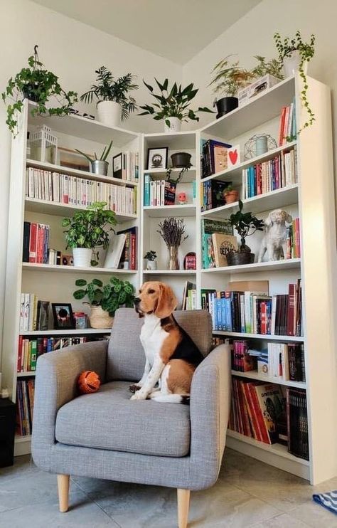 Plants And Books, Home Library Rooms, Bookshelf Inspiration, Home Library Design, Home Libraries, Hus Inspiration, Home Library, Book Shelf, Home Office Design