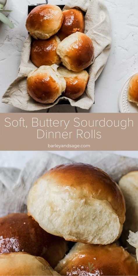 Fluffy Sourdough Dinner Rolls, Sourdough With Starter, Fluffy Sourdough Rolls, Sourdough Honey Butter Rolls, Homemade Sourdough Rolls, Easy Sourdough Dinner Rolls - Soft And Fluffy, Sourdough Soft Rolls, Sourdough Discard Thanksgiving Recipes, Sour Dough Dinner Rolls Recipe