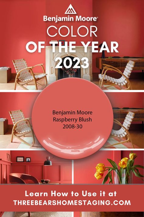 2023 Paint Colors Of The Year Benjamin Moore, Benjamin Moore Colour Of The Year 2023, Benjamin Moore Paint 2023, Benjamin Moore Color Of Year 2023, Benjamin Moore Paint Colours 2023, Color Of The Year 2023 Benjamin Moore, Color Of The Year Benjamin Moore, Bright Colored Interiors, Bm Raspberry Blush