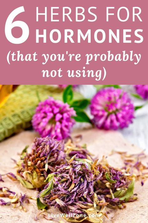 Hormone Herbs, Medicinal Herbs Garden, Balance Hormones, Natural Healing Remedies, Herbal Healing, Herbs For Health, Reproductive Health, Healing Herbs, Natural Herbs