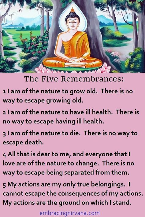 The Five Remembrances The Five Remembrances, Nirvana Buddhism, Buddhism Philosophy, Buddhism For Beginners, Buddhism Beliefs, Buddha's Teachings, Daily Spiritual Quotes, Buddhist Mantra, Buddha Quotes Life