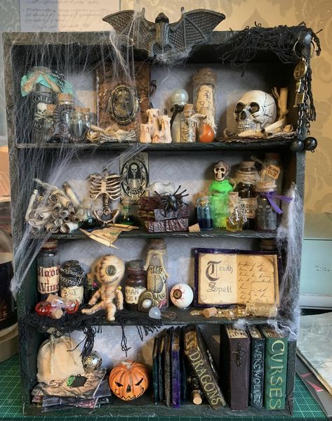 Curiosity Shelf, Witch Cabinet, Ed E Lorraine Warren, Hay Bale Art, Halloween Diorama, Mini Shelf, Haunted House Diy, Halloween Shadow Box, Dollhouse Halloween