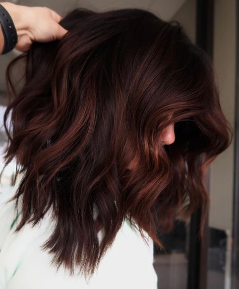 Dark Brown Hair with Mahogany Highlights