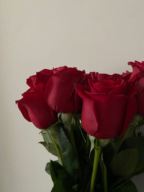 red roses aesthetic, flowers, camera roll dump Red Objects Aesthetic, Red Camera Aesthetic, Nadine Aesthetic, Red Rose Bouquet Aesthetic, Rosé Core Aesthetic, Red Rose Aesthetic, Red Roses Aesthetic, Ivan Lukov, Jasmine Santos