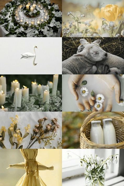 Beautiful decoration and altar ideas for Imbolc Spring Equinox Ritual, Imbolc Ritual, Samhain Ritual, Princess Dance, St Brigid, Hedge Witch, Spring Equinox, Groundhog Day, Altar Decorations