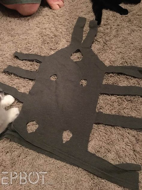 EPBOT: New & Improved DIY Cat Onesie: Skip The Cone & Make This Out Of An Old T-Shirt, Instead! Fat Cat Meme, Baby Animals Wallpaper, Dog Cone Alternative, Onesie Diy, Cat Onesie, Cone Collar, Dog Cone, Dog Clothes Diy, Cat Meme