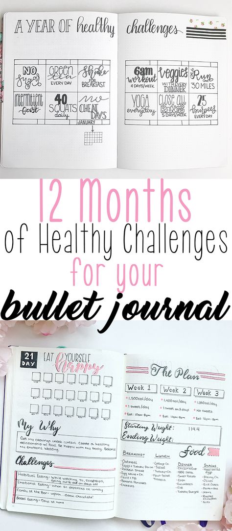 12 Months of HealthyChallenges to Add Into Your Bullet Journal Healthy Challenges, Bullet Journal Health, Training Journal, Bullet Journal Work, Digital Bullet Journal, Goals Bullet Journal, Bullet Journal 2019, Bullet Journal How To Start A, Bullet Journal Hacks