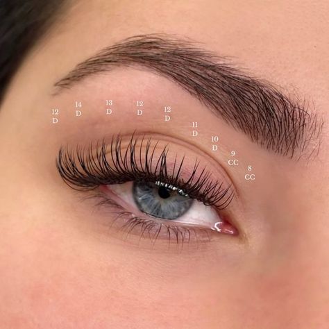 Cat Eye Lash Extensions Classic Map, Natural D Curl Lash Extensions, 0.15 Lash Extensions, Classic Lash Cat Eye, Natural Lash Extensions With Numbers, Classical Eyelash Extensions, Lash Extensions Classic Cat Eye, Classic Eyelashes Extensions, Natural Look Eyelash Extensions