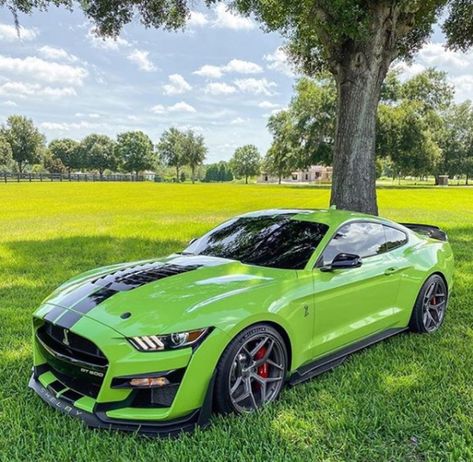 Mustang Shelby Gt 500 2023, Green Challenger Dodge, Ford Mustang Shelby Gt500 Green, Ford Mustang Gt Yellow, Green Mustang, Sports Cars Mustang, Green Muscle Car, Mustang Gt500, Ford Mustang Shelby Gt500