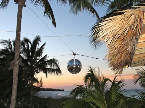 Hanging between the trees Beach Disco, Beth Hoeckel, Photo Caption, Tutti Frutti, Beach Vibe, Disco Ball, Summer 2014, Beach Photos, Palm Trees