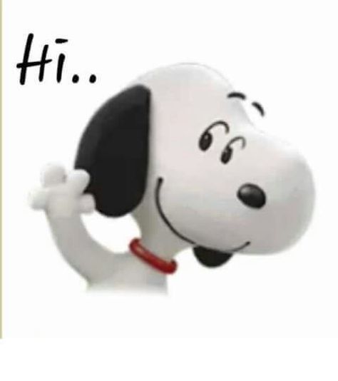 Charlie Brown Y Snoopy, Peanuts Quotes, Mixed Messages, Saying Hi, Peanuts Charlie Brown Snoopy, Hug Quotes, Charlie Brown Snoopy, Snoopy Funny, Snoopy Images