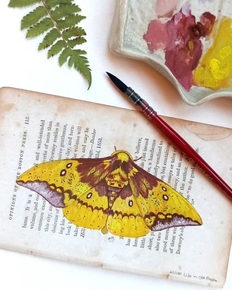 LIFE IN OLD PAGES COLLECTION is 40% OFF during this week! Comment INSECT and I'll send you the code! #entomologyart #entomology #insectart #insectpainting #entomologycollection #butterfly #insects #vintage Moth Gouache, Imperial Moth, Entomology Collection, Old Pages, Insect Illustration, Entomology Art, Moth Illustration, Broken Book, Gouache Illustration