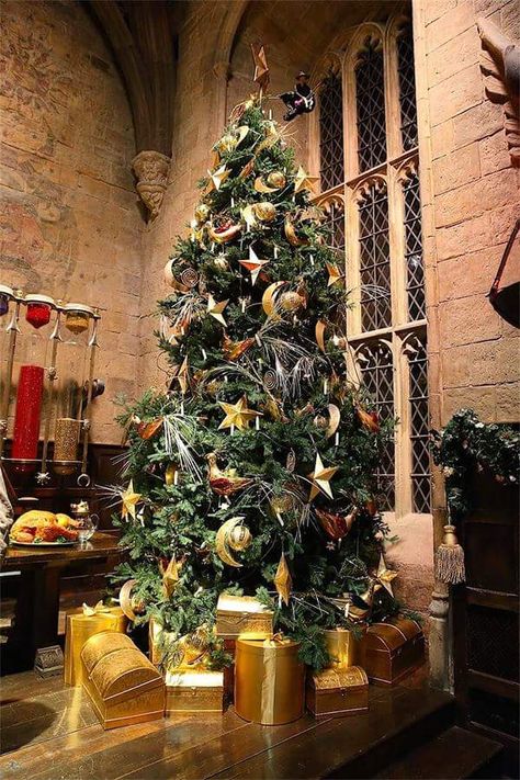 Harry Potter Great Hall Christmas decor Harry Potter Weihnachten, Harry Potter Christmas Decorations, Harry Potter Christmas Tree, Hogwarts Christmas, Harry Potter Studio Tour, Harry Potter Studios, The Great Hall, Anniversaire Harry Potter, Harry Potter Halloween