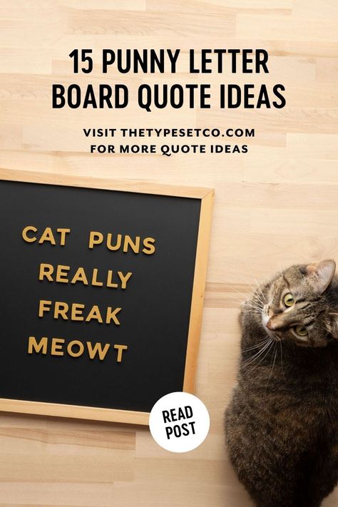 Jokes For Letter Boards, Three Word Quotes Funny, Sassy Letter Board Quotes, Letter Board Puns, Letter Board Sayings Funny, Letter Board Jokes, Clever Letter Board Sayings, Funny Sayings For Letter Boards, Funny Letterboard