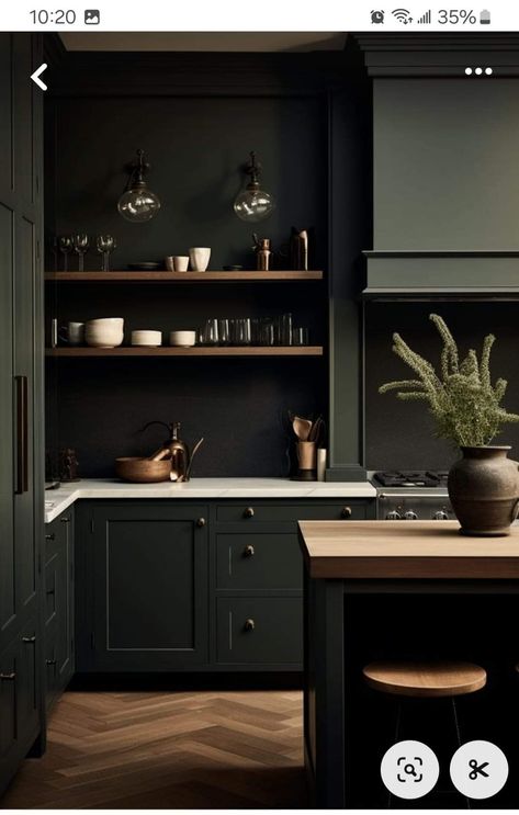 Dark Green Cabinets, Green Kitchen Cabinet, Renovation Plan, Olive Green Kitchen, Green Kitchen Walls, Green Kitchen Island, Moody Kitchen, Dark Green Kitchen, Green Kitchen Designs