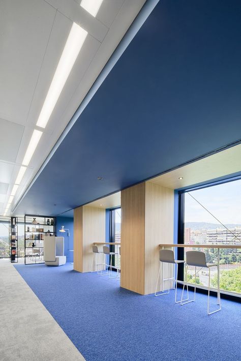 Google Office, Desain Pantry, Blue Office, Office Pictures, Lobby Interior, Corporate Interiors, Hospital Design, Full Picture, Architecture Office