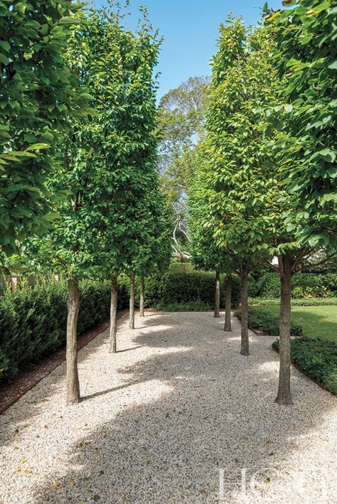 Hamptons Landscaping, Hamptons Garden, Hampton Garden, Hamptons Cottage, Hampton Home, Gravel Landscaping, Gravel Garden, Formal Garden, Side Garden