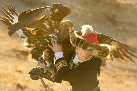 ‘The Eagle Huntress’ Review: Soaring Documentary - WSJ Eagle Huntress, Mongolian Eagle, Eagle Hunter, Aigle Royal, Lady Macbeth, Daisy Ridley, Golden Eagle, An Eagle, The Eagle