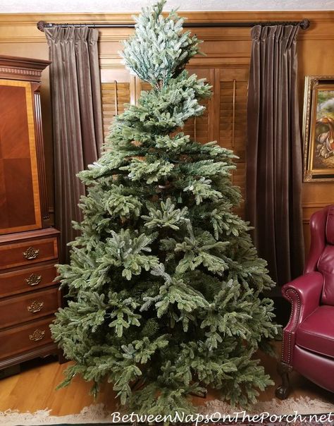 This Balsam Hill Fraser Fir Christmas Tree is Going Back Balsam Hill Fraser Fir, European Fir Christmas Tree, Balsam Hill Tree, Frazier Fir Christmas Tree, Balsam Hill Trees, Balsam Fir Christmas Tree, Noble Fir Christmas Tree, Balsam Tree, Fraser Fir Christmas Tree