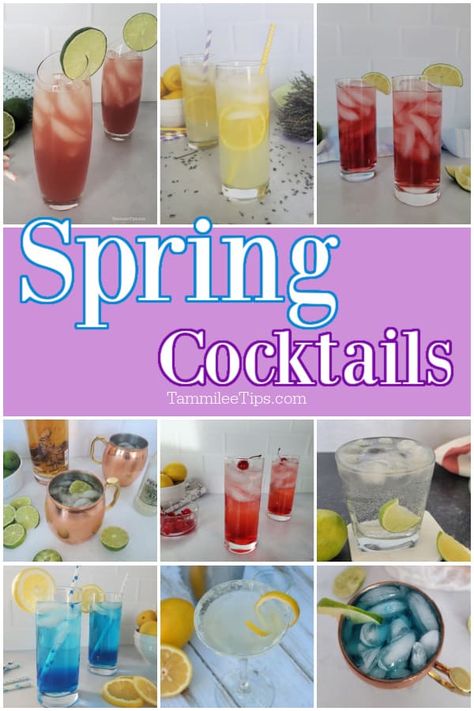 Easy Spring cocktails that are light and refreshing! Everyone will love these fun colorful cocktails and classic cocktails. Looking to freshen up your cocktail game this spring? Look no further than our collection of delicious and refreshing spring cocktail recipes! From fruity blends to herbaceous mixes, our collection has something for everyone. Perfect for a sunny day spent outside or a cozy night in with friends, these cocktails are sure to impress. April Cocktails, Spring Mixed Drinks, Spring Drinks Cocktails, Spring Cocktail Recipes, Spring Drink Recipes, Easy Spring Cocktails, Spring Drinks, Night In With Friends, Spring Drink