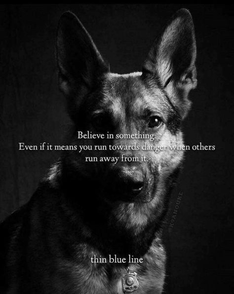 K-9 K9 Police Dogs, K9 Officer, Dog Sayings, Belgian Malinois Dog, Thoughts And Prayers, Dog Quotes Love, Malinois Dog, Police K9, Please Pray