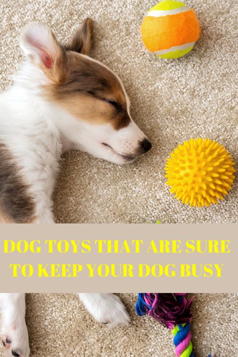 Keep Puppy Busy While At Work, How To Keep A Puppy Busy, Newfoundland Puppies, Best Dog Toys, Love Doodles, Newfoundland Dog, Dog Hacks, Dog Training Tips, Newfoundland