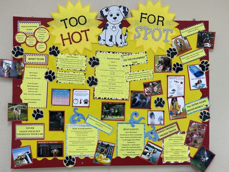 Animal Shelter Organization Ideas, Veterinary Bulletin Board Ideas, Vet Clinic Bulletin Board Ideas, Veterinary Clinic Ideas, Veterinary Decor, Information Bulletin Boards, Office Bulletin Board Ideas, Dogs Crafts, Vets Office