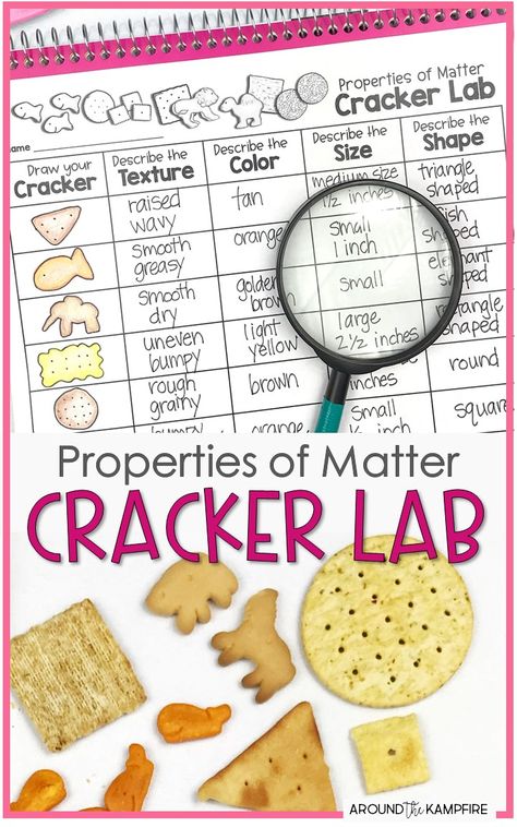 2nd Grade Science, Matter Activities, Lab Science, Science Kids, Activity For Students, Second Grade Science, Lab Activities, 1st Grade Science, First Grade Science