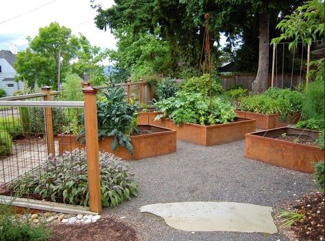 Steel Raised Beds, Fenced Vegetable Garden, Plants For Raised Beds, Garden Bed Layout, Vegetable Beds Raised, Vegetable Garden Raised Beds, Building A Raised Garden, Herb Garden Design, Garden Vines