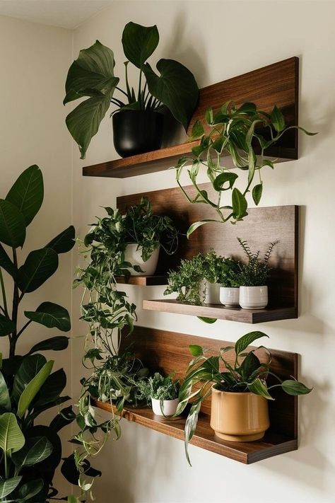 Plants Wall Shelf, Wood Shelves For Plants, Floating Shelves With Plants Living Room, Plant Floating Shelves, Wooden Apartment Decor, Kitchen Plant Shelves, Desk Plants Aesthetic, Floating Shelf Plants, Indoor Plant Wall Shelves