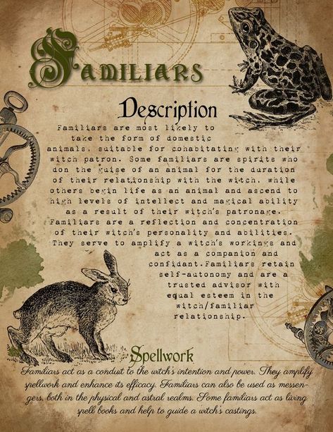 Familiars – Witches Of The Craft® Book Of Shadows Pages, Witches Familiar, Three Wishes, Witchcraft Books, Animal Spirit Guides, Wiccan Magic, Grimoire Book, Wiccan Witch, Eclectic Witch