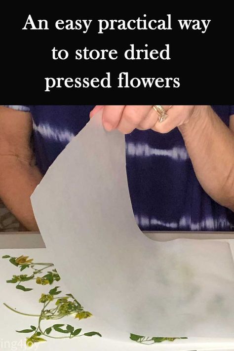 How To Put Dried Flowers In Resin, What To Do With Dried Flower Petals, How To Use Pressed Flowers, How To Store Dried Pressed Flowers, How To Keep Dried Flowers, How To Dry Press Flowers, Pressed Flower Storage Ideas, Storing Pressed Flowers, Storing Dried Flowers