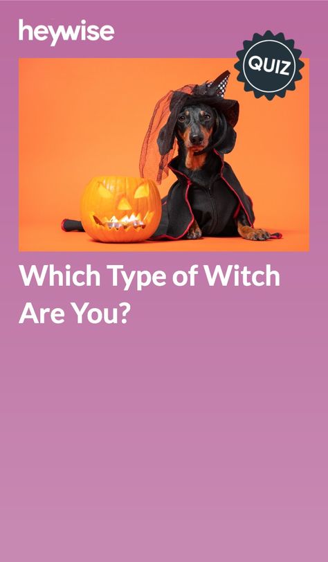 What Type Of Witch Am I Quiz, Halloween Quizzes, Halloween Quiz, Your Spirit Animal, Modern Witch, Trivia Quiz, Something About You, Fantasy Story, Personality Quizzes