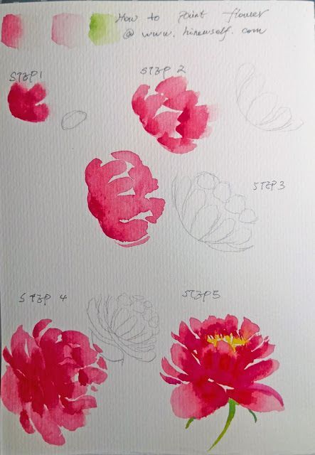 9 How to paint red peony with watercolor      (adsbygoogle = window.adsbygoogle || []).push({});  Watercolor is the color of God because the change of pigment in the water is only known to God. At the same time, the transparency of the watercolor gives the picture a very natural and flexible effect.Note: Watercolor paint is a transparent nature, so be sure to design how to compose the picture and the order of coloring before painting.I have extracted the outline of the shape and color, you can q Watercolor Crafts, Beginning Watercolor, Peony Drawing, Flower Drawing Tutorials, Watercolor Flowers Tutorial, Peony Painting, Paint Watercolor, Drawing Flowers, Watercolor Paintings For Beginners