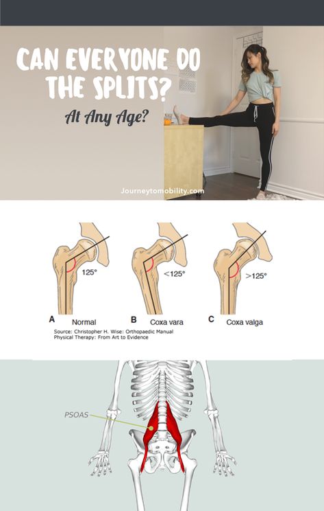 With consistent practice, most healthy adults can train and eventually learn how to do the splits. However, there are some structural differences that make it more optimal for some people to be training for the splits and less optimal for others.   In this post I'll be going over what those structural differences are and a simple test you can do at home to determine if you have the potential to get the splits. How To Train To Do The Splits, Learn How To Split For Beginners, Stretches To Do Splits, Splits For Non Flexible People, Splits Training For Beginners, Standing Splits How To Do, How To Do A Straddle, Split Training Flexibility, How To Middle Splits