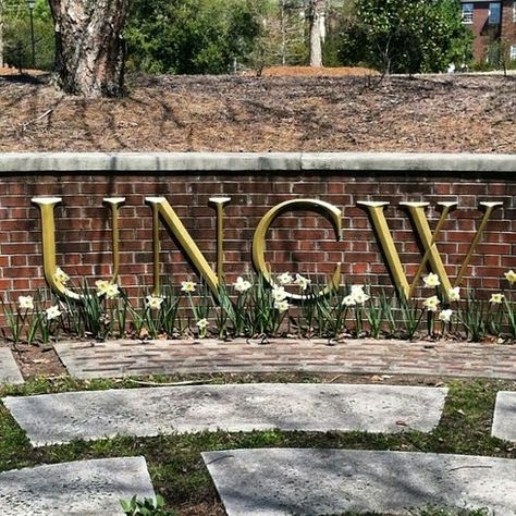 UNCW University Of North Carolina Wilmington, Uncw Aesthetic, Uncw Campus, Unc Wilmington, College Goals, Coastal Carolina University, College Motivation, Vision Board Images, Carolina Girl