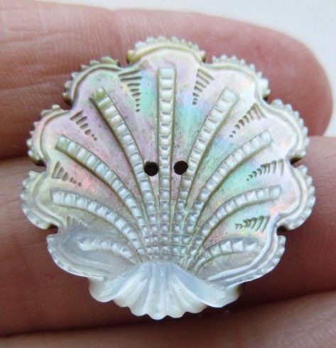 Breathtaking Antique Victorian Carved MOP Shell BUTTON Intricate Seashell (C27) Shell Buttons, Button Collecting, Buttons For Sale, Cool Buttons, Types Of Buttons, Carved Shell, Vintage Sewing Machines, Button Cards, Antique Buttons