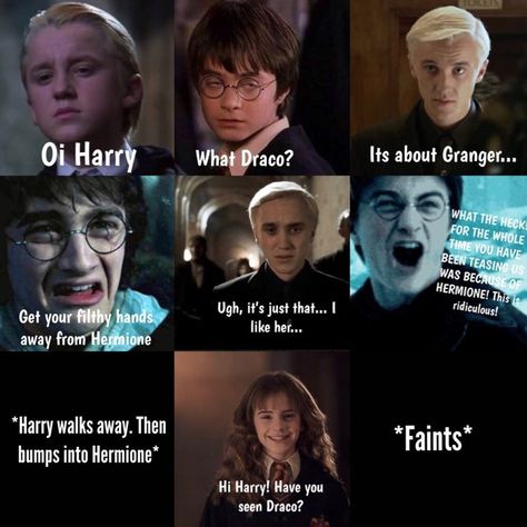 Hermione Malfoy, House Quiz, Citate Harry Potter, Glume Harry Potter, Potter House, Funny Harry Potter Jokes, Harry Potter Memes Hilarious, Harry Potter Wizard, Harry Potter Feels