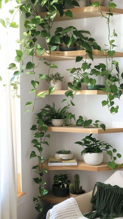 Picture Shelf Plants, Home Design Plants, Plant Shelves Apartment, Plant Shelf Bedroom, Indoor Plant Design, Plant Corner Bedroom, House Plants Living Room, House Plant Display Ideas, Plant Room Ideas