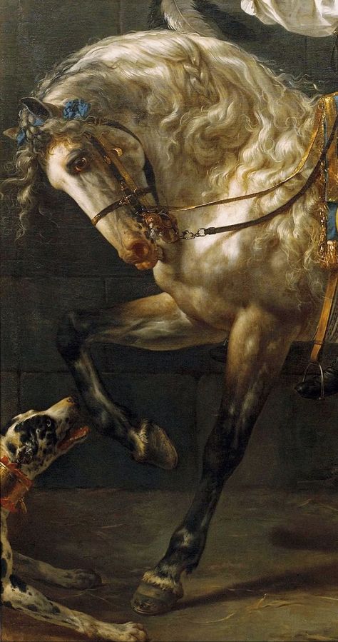 Fragment of Portrait of count Potocki by Jacques-Louis David (1781) Art Movement Timeline, Incubus Demon, David Painting, Art History Timeline, Jacques Louis David, Sea Drawing, Aesthetic Dark Academia, Circus Art, Old Paintings