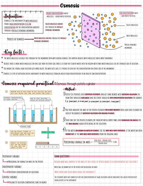 Notes science revision Bio Notes Example, Osmosis Revision Notes, Osmosis Notes Biology, Ap Biology Unit 1, Lysosomes Notes, Biology Study Guide, Osmosis Notes, Biology Revision Gcse, Aesthetic Revision Notes