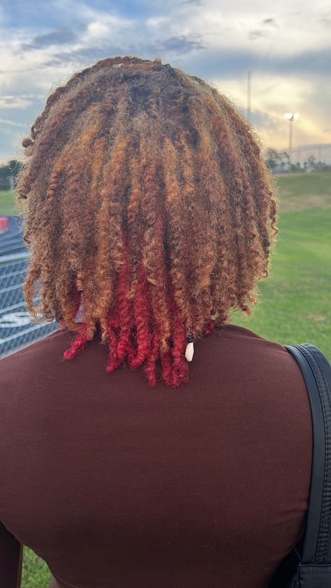 Skunk Stripe Dreads, Dye Locks, Skunk Stripe Locs, Bohemian Dreads, Aesthetic Locs, Pink Locs, Black Locs, Locks Hairstyles, Two Strand Twist Hairstyles