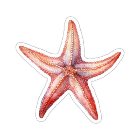 Red watercolor starfish vinyl sticker, glossy, waterproof and printed with eco friendly inks! Available as white or transparent sticker, 2, 3, 4 or 6 inch. This decal is perfect as laptop sticker, for water bottle, window, phone, journal or planner, and just anything else you wish to decorate and personalize! Our cute and funny stickers are great also as best friend gifts, small gifts for family members, for Birthday, Christmas, or any other occasion. ★ Buy more stickers or sticker packs to save Starfish Sticker, Watercolor Starfish, Bottle Window, Phone Journal, Note Sticker, Preppy Stickers, Sticker For Laptop, Cute Laptop Stickers, Pen Pal Letters